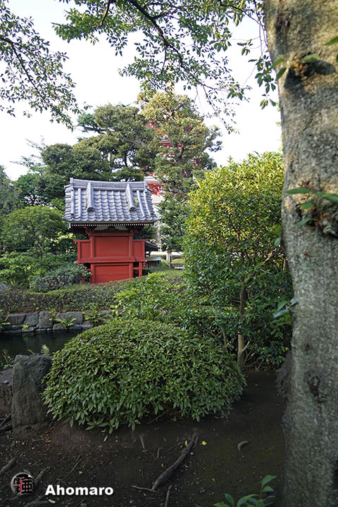 写真00