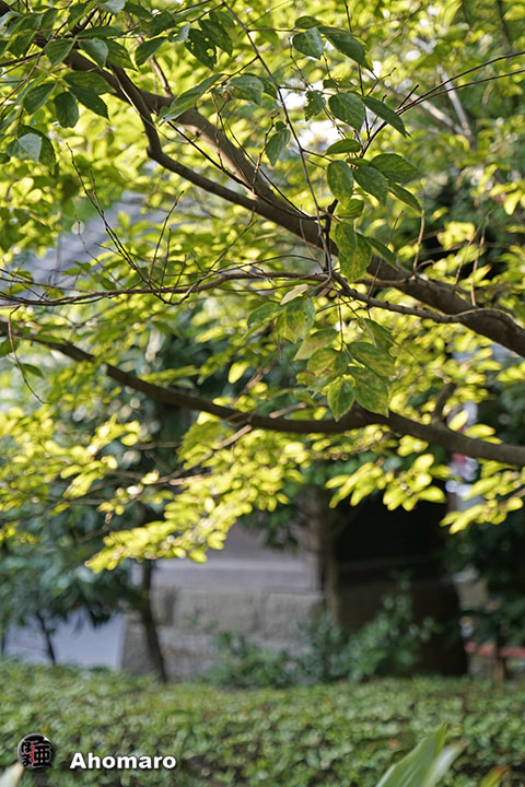 写真00