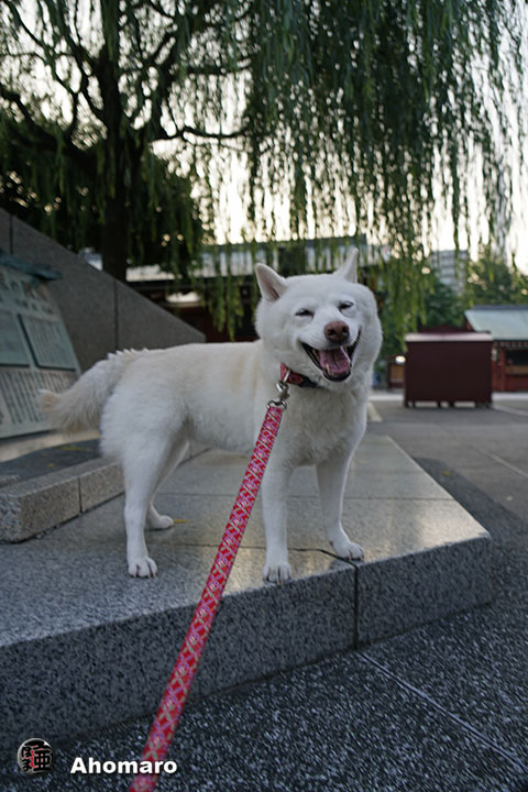 写真00