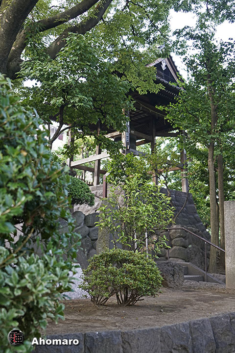 写真00