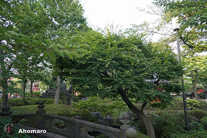 写真00