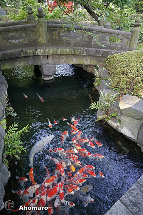写真00