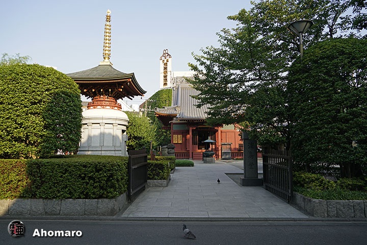写真00