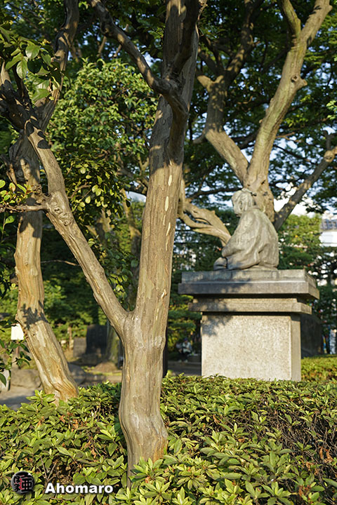 写真00