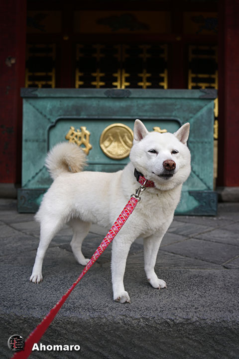 写真00