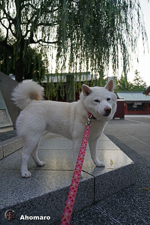 写真00