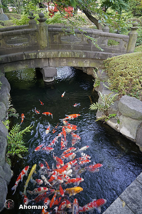 写真00