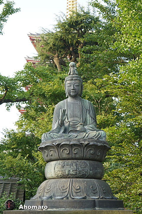 写真00