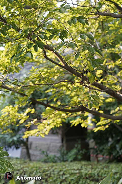 写真00