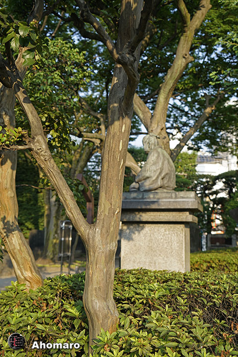 写真00