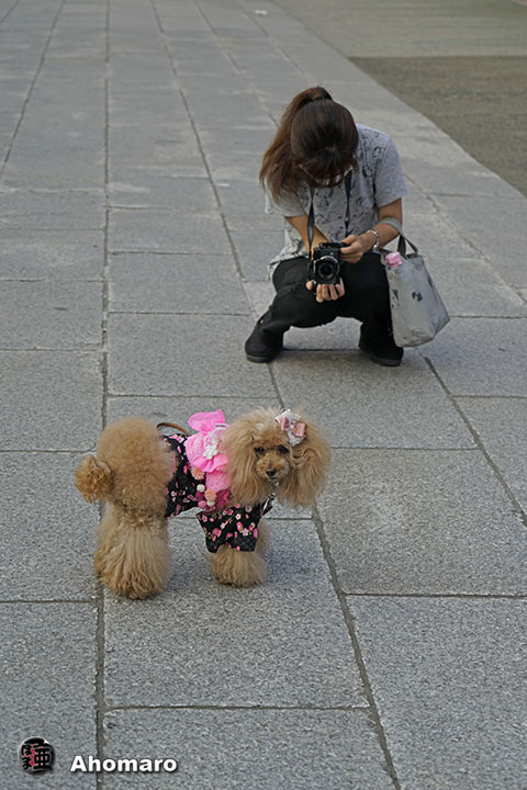写真00