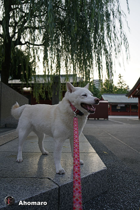 写真00