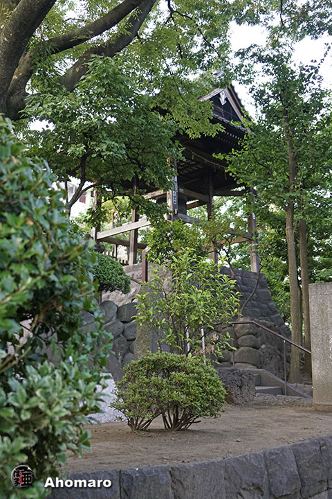 写真00
