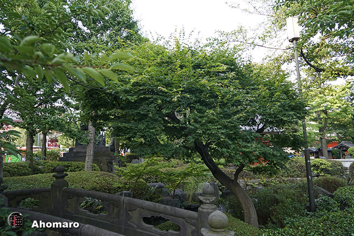写真00