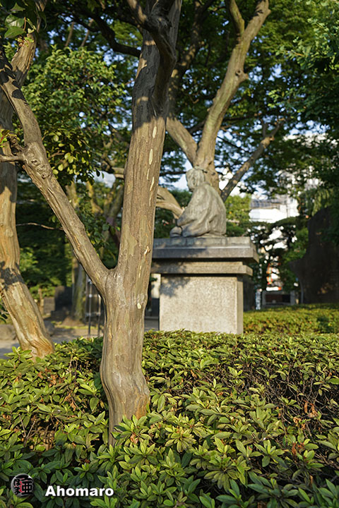 写真00