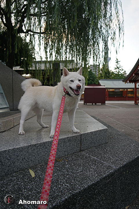 写真00