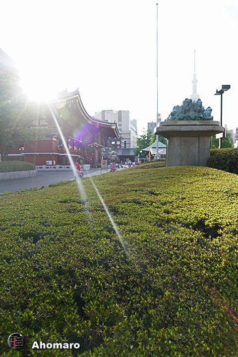 写真00