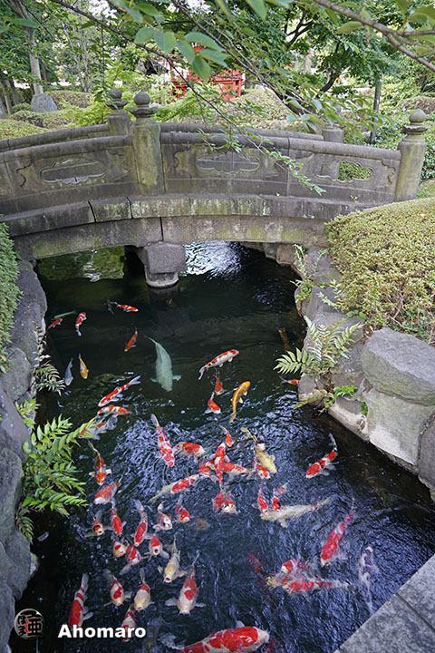 写真00