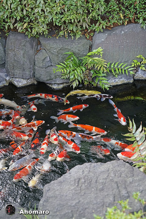 写真00