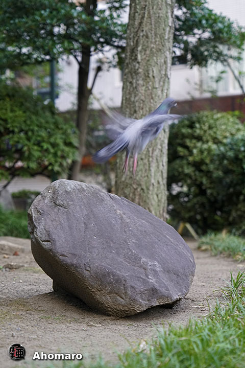 写真00