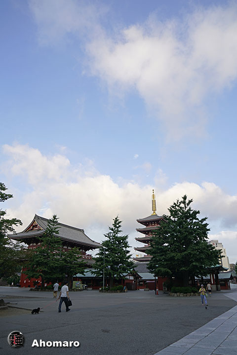 写真00