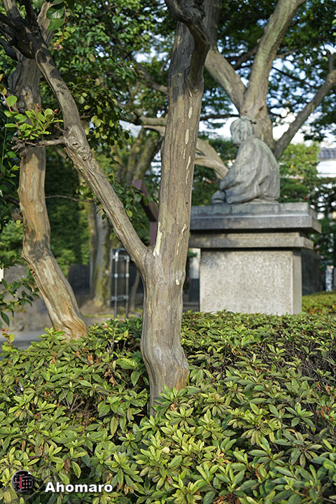 写真00