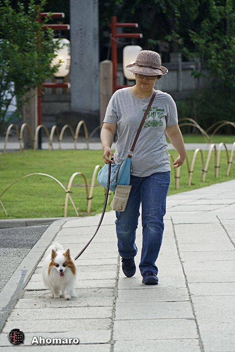 写真00