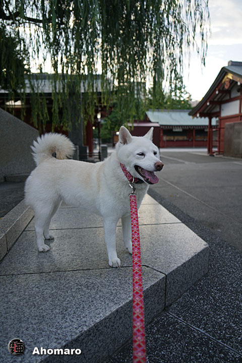 写真00