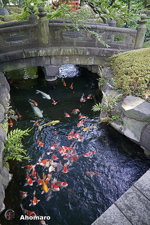 写真00