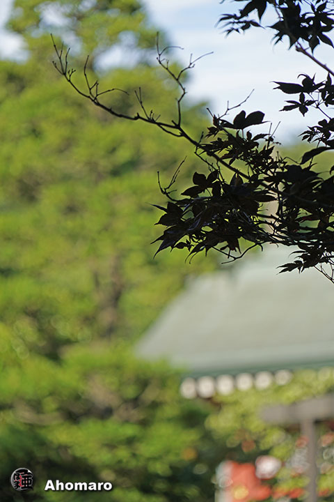写真00