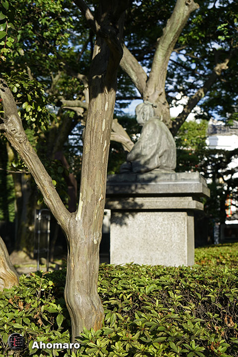 写真00
