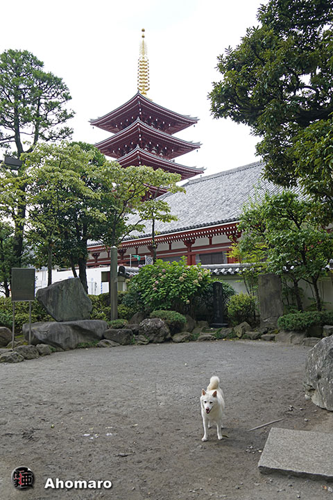 写真00