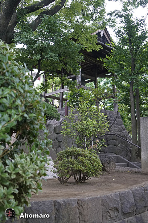 写真00