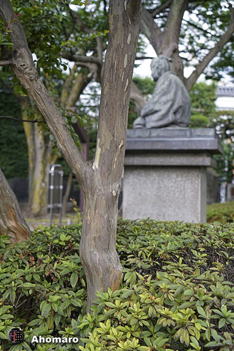 写真00