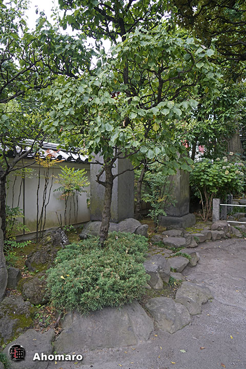 写真00