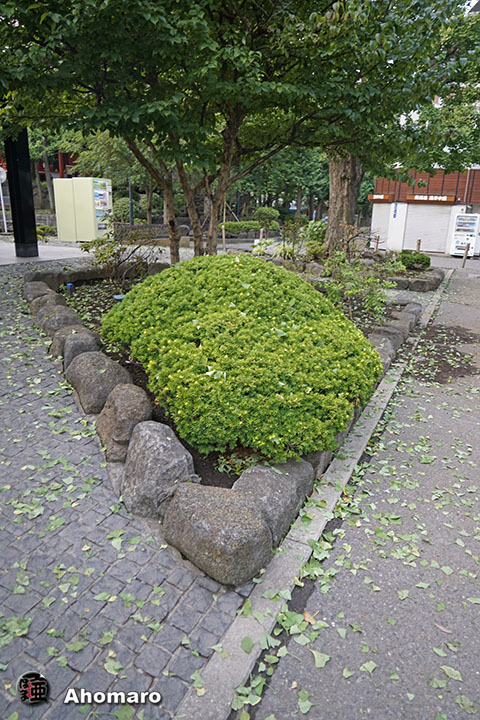 写真00