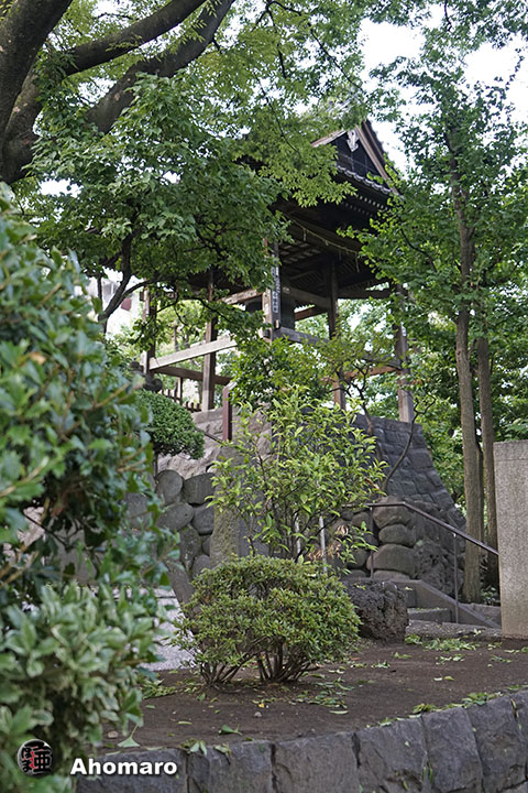 写真00