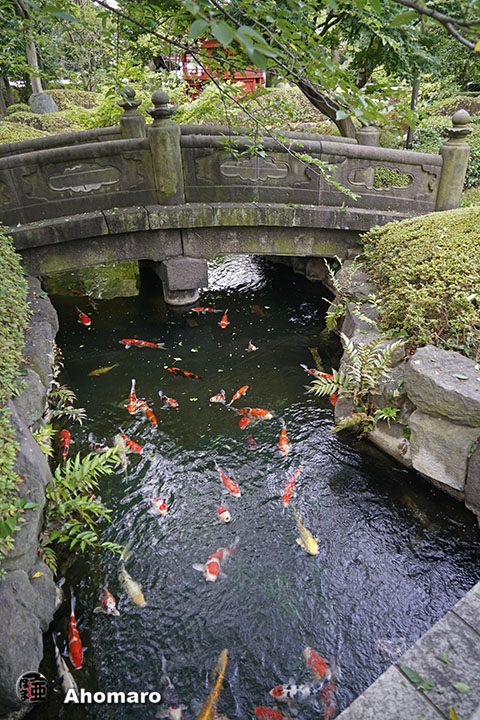 写真00