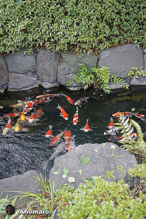 写真00