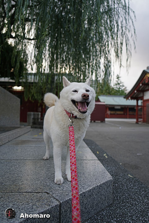 写真00