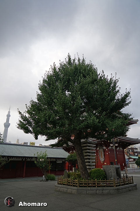 写真00