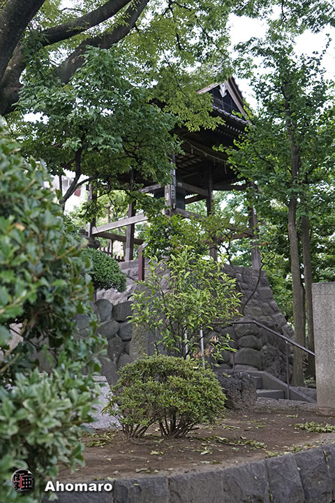 写真00