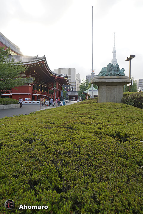 写真00
