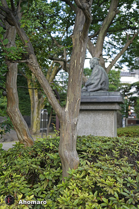 写真00