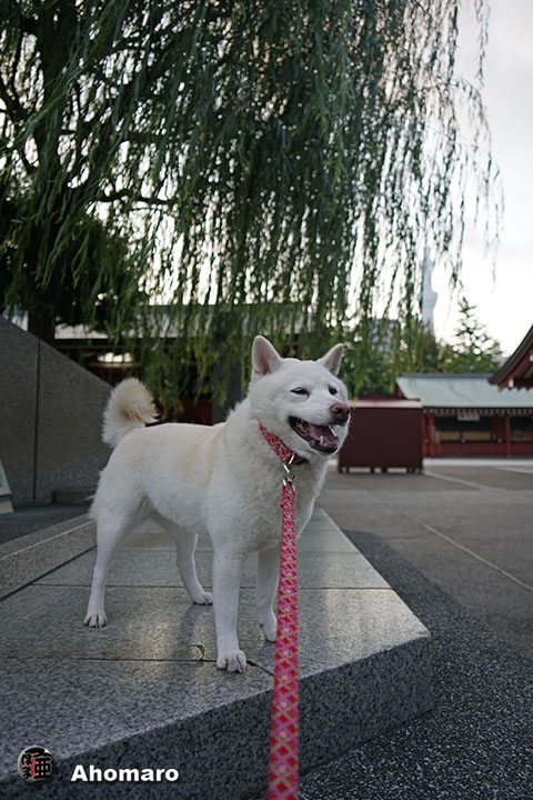 写真00
