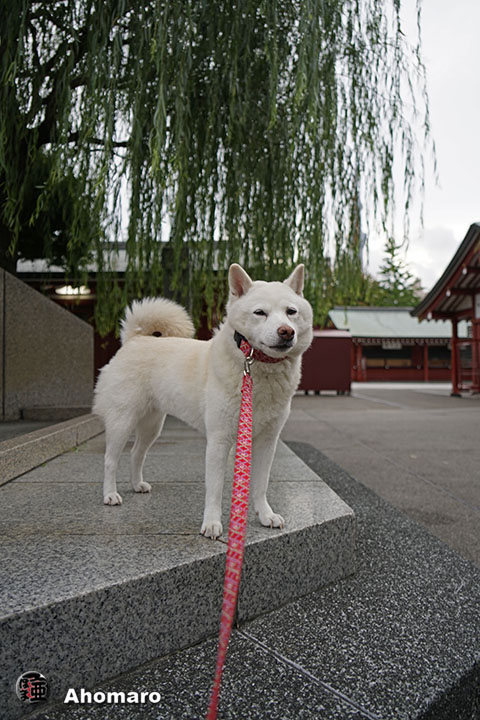 写真00