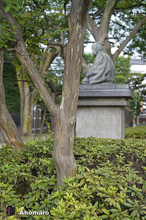写真00