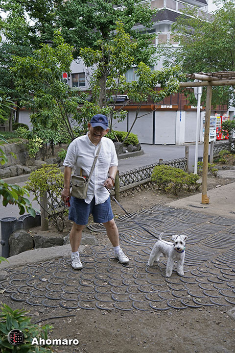 写真00