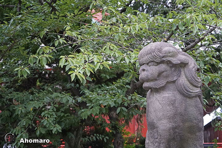 写真00