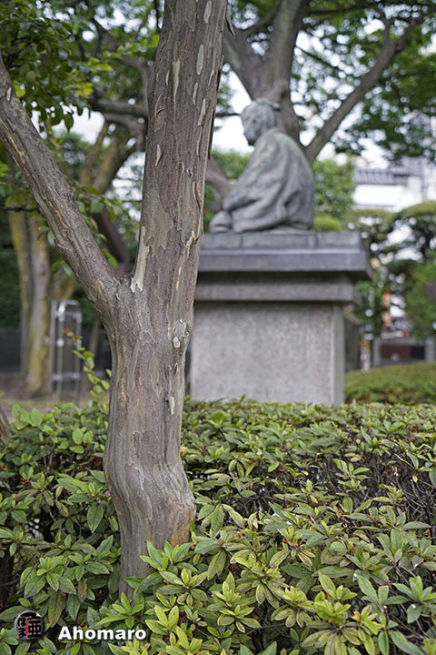 写真00